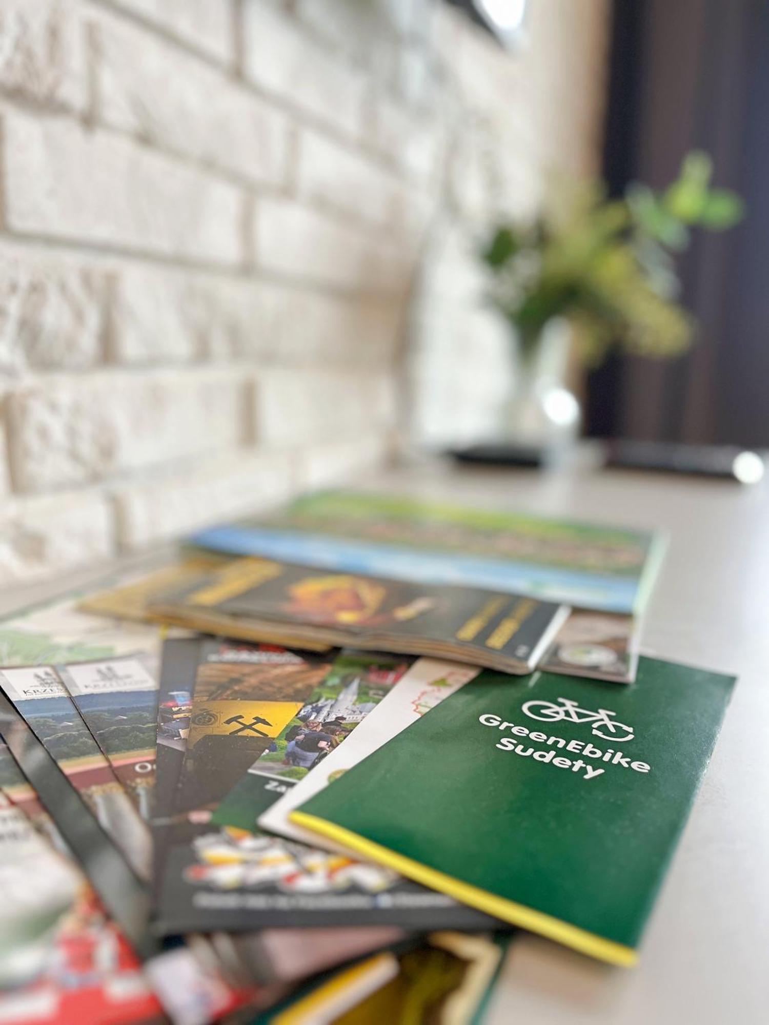 Apartament Zielone Podwale ヴァウブジフ エクステリア 写真